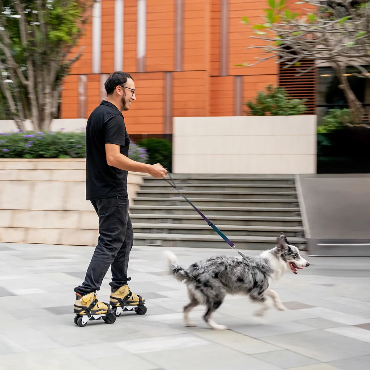 Walking_the_dog_by_the_park_with_Rollwalk_eRW3_motorized_shoes